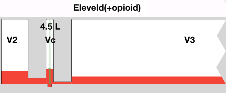 The Mixifusor with Tivatrainer: using the Eleveld+opioid model